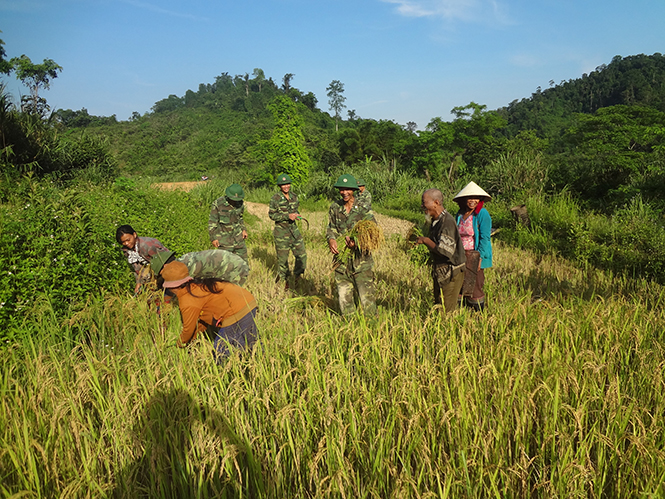 Khởi sắc làng Ho