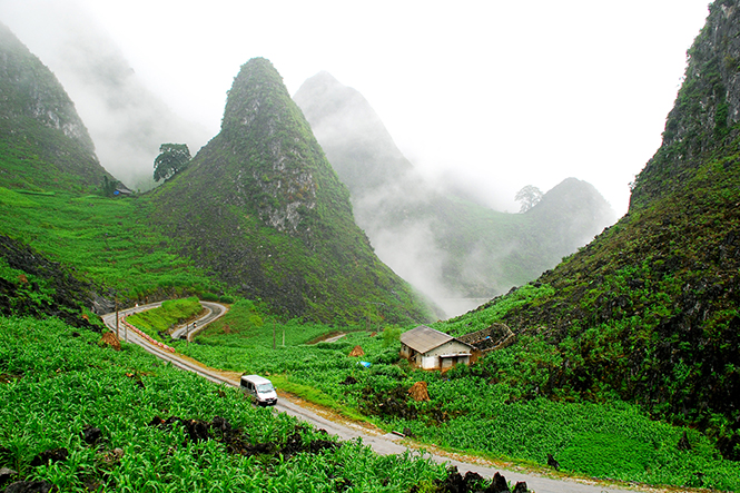 Con đường hạnh phúc