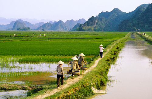 Quê hương và mẹ