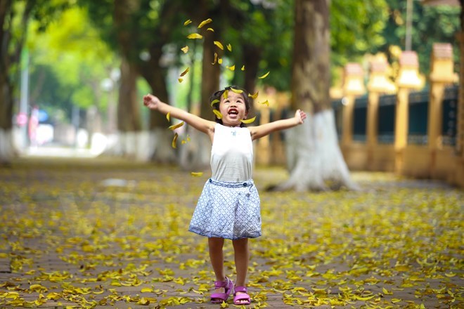 Bắc Bộ nhiệt độ tăng dần, Nam Bộ và Tây Nguyên nắng khô kéo dài
