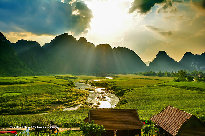Khi khỉ Kong "thức giấc"…