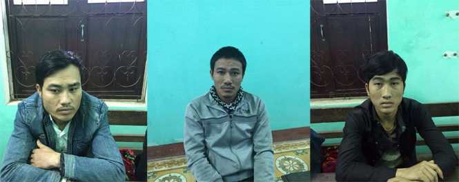 Bắt nhóm thanh niên chuyên trộm trâu, bò thả rong