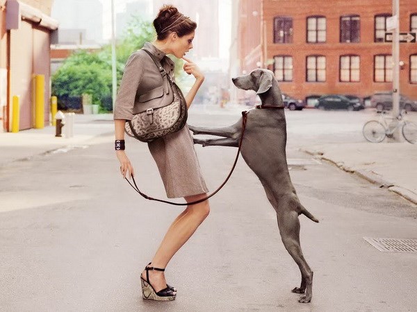 Huyền thoại Coco Rocha lên tiếng về tin đồn ghé thăm Việt Nam