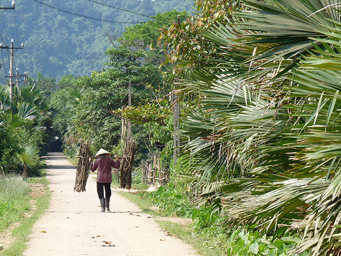 Tiếng quê gọi về
