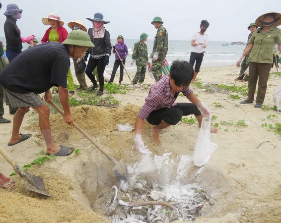 Việc bồi thường thiệt hại do sự cố Formosa phải công khai, dân chủ