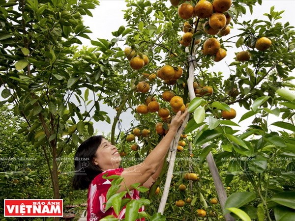 Diễn biến thời tiết trên cả nước dịp nghỉ lễ 30-4 và 1-5 tới