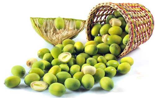 Y học cổ truyền trị viêm mũi mạn tính