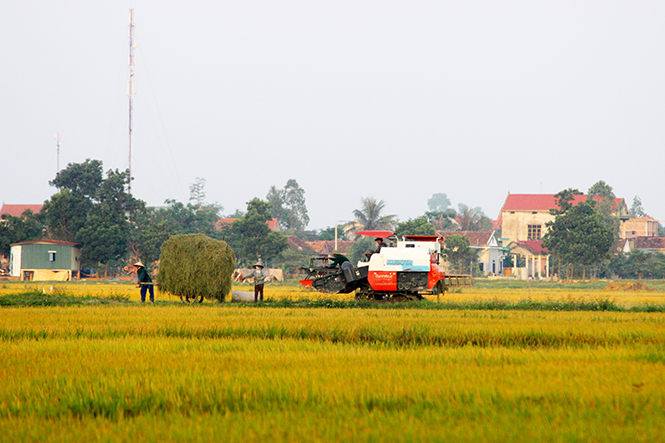 Mùa đầy