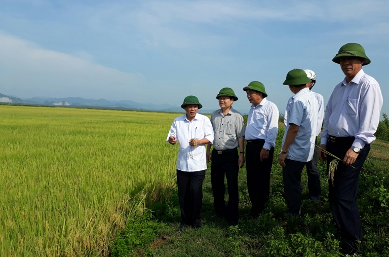 Lệ Thủy cần xây dựng các mô hình nông nghiệp công nghệ cao