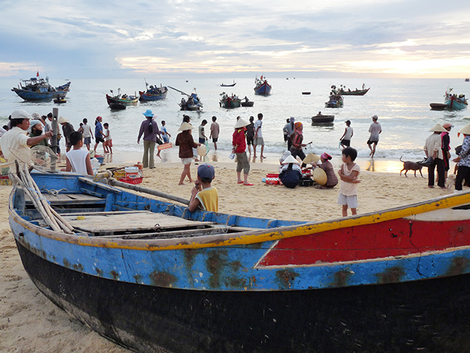 Lại về với biển