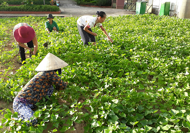 Ngôi nhà chung ấm tình người