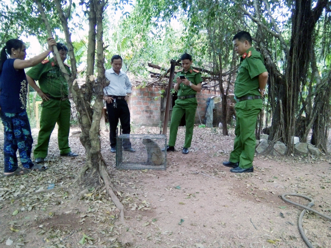 Tiếp nhận và cứu hộ cá thể động vật hoang dã quý hiếm