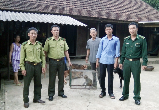 Vận động người dân giao nộp thú linh trưởng nuôi nhốt trái phép