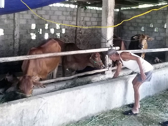 Quảng Ninh: 3.258 hộ nông dân vay vốn sản xuất với tổng dư nợ gần 126 tỷ đồng