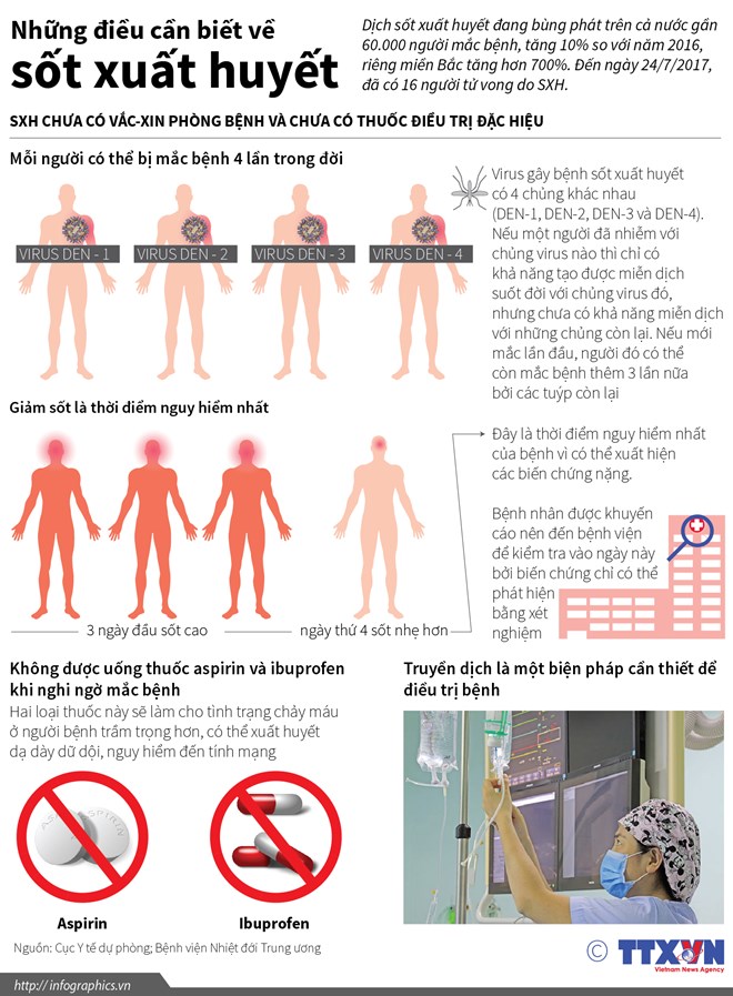 [Infographics] Những điều cần biết về bệnh sốt xuất huyết