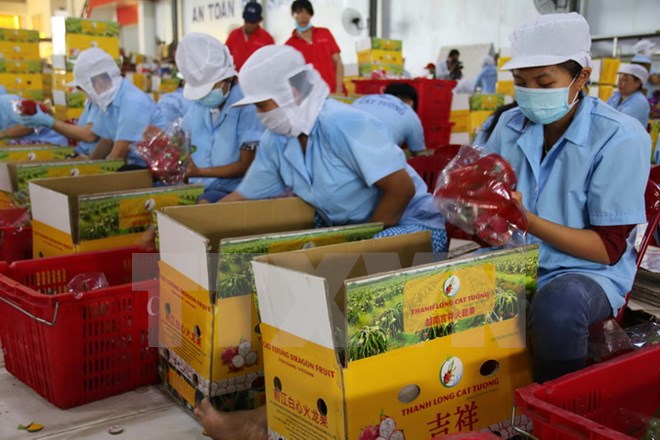 Kim ngạch xuất khẩu tốt nhưng nhiều trái cây Việt vẫn "vô hình"