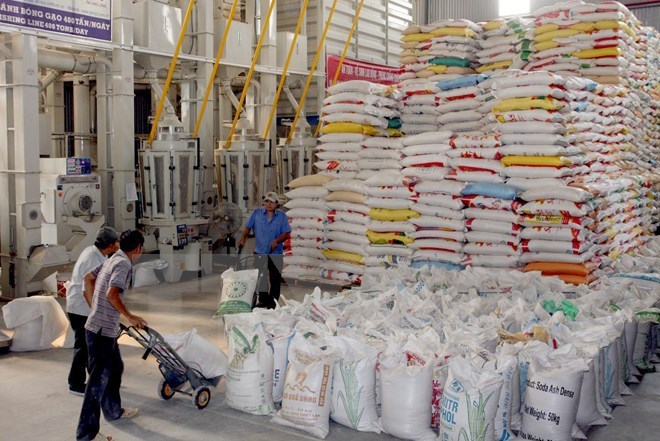 Việt Nam trúng 6 lô thầu cung cấp 175.000 tấn gạo cho Philippines