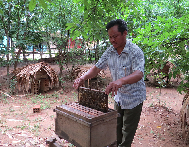 Chuyện lão nông "giàu tiền, giàu nghĩa"