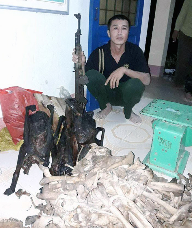 Bắt giữ đối tượng săn, bắn động vật quý hiếm trong VQG Phong Nha-Kẻ Bàng