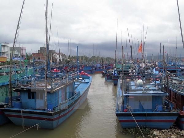 Các tỉnh từ Quảng Ninh đến Phú Yên chủ động ứng phó với áp thấp