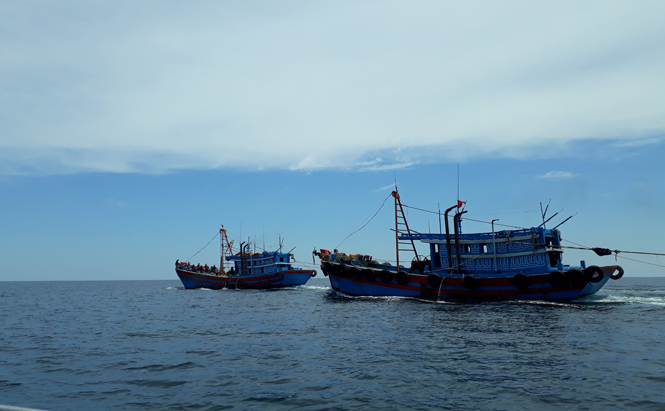 Bắt tàu giã cào khai thác trái phép ở vùng ven biển Quảng Bình