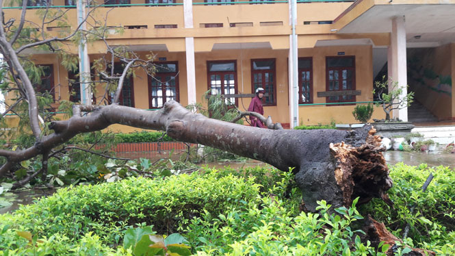 Bố Trạch ngổn ngang sau bão