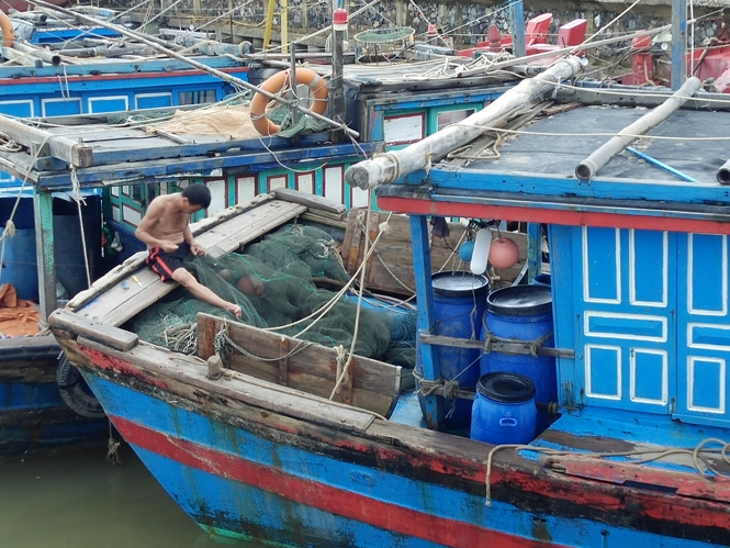 Toàn tỉnh có trên 50 tàu bị đánh chìm và mắc cạn