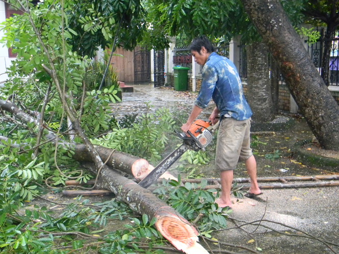 Bão số 10 gây thiệt hại gần 5.300 tỷ đồng
