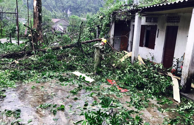 Toàn tỉnh có trên 200 trường hợp mắc bệnh sốt xuất huyết