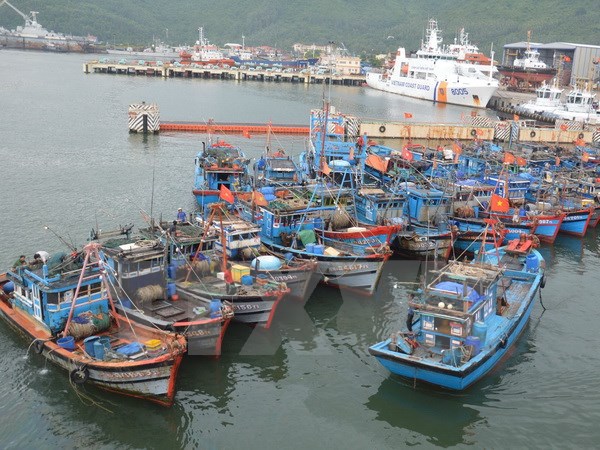 Các tỉnh, thành phố ven biển chủ động ứng phó với áp thấp nhiệt đới