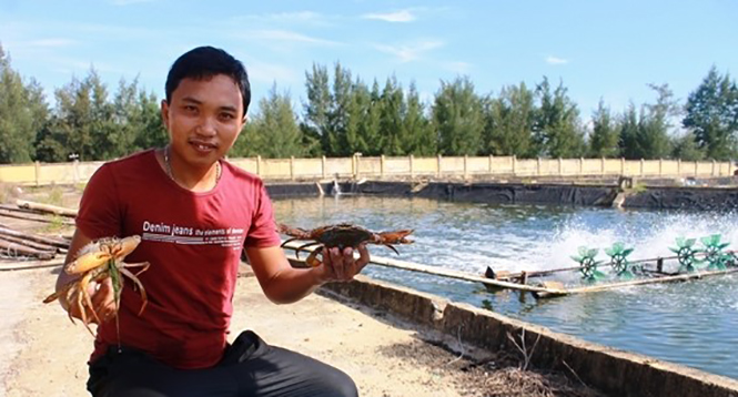 Tiềm năng nuôi cua trứng thương phẩm