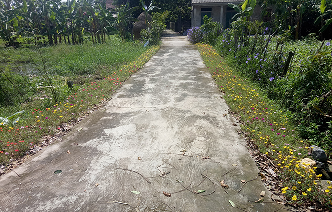 Đường làng rực rỡ sắc hoa