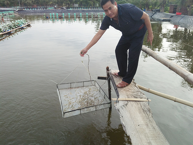 Thị xã Ba Đồn, huyện Quảng Ninh: Cơ bản hoàn thành bồi thường, hỗ trợ thiệt hại do sự cố môi trường biển