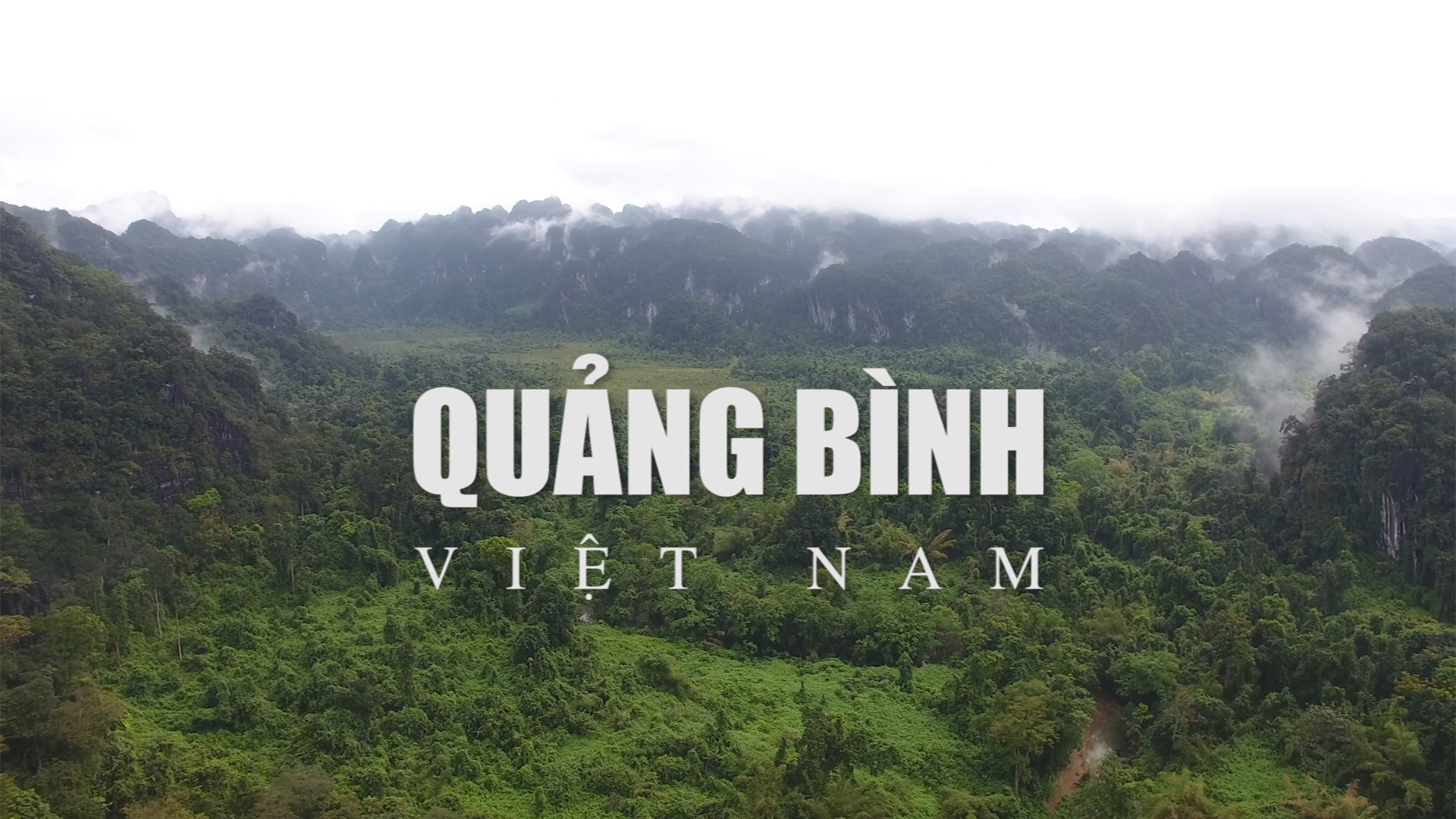 Giao lưu trực tuyến "Du lịch Quảng Bình: Cơ hội và thách thức"