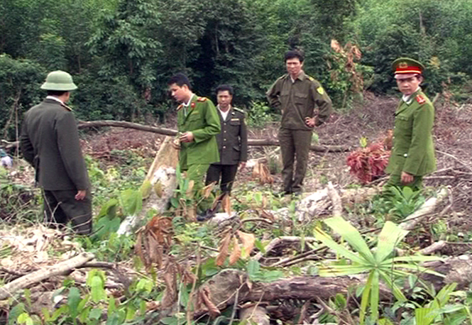 Giải quyết tình trạng lấn chiếm, tranh chấp đất lâm nghiệp ở Bố Trạch: Những kết quả tích cực