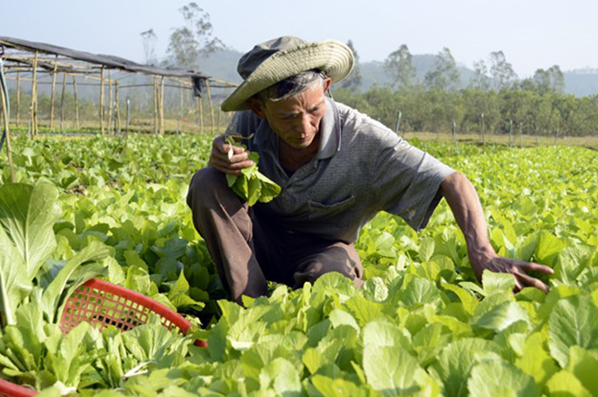 Chung tay vì người nghèo!