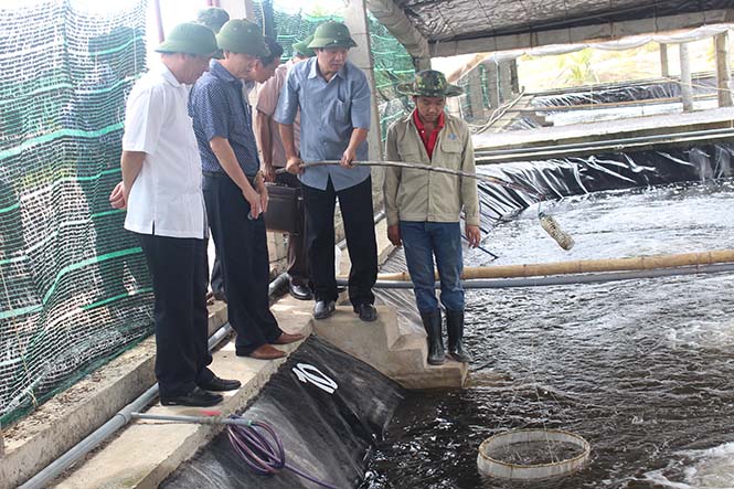 Công tác xây dựng Đảng: Dấu ấn năm 2017