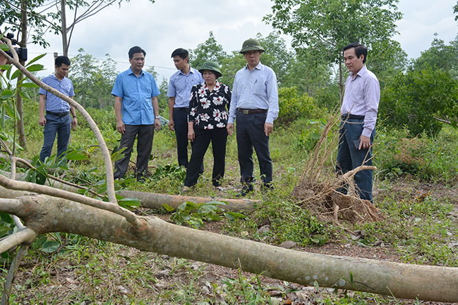 Lãnh đạo doanh nghiệp vượt khó, ổn định sản xuất, kinh doanh
