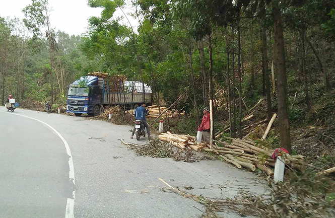 Đảng bộ xã Trọng Hóa: Nỗ lực vượt qua khó khăn