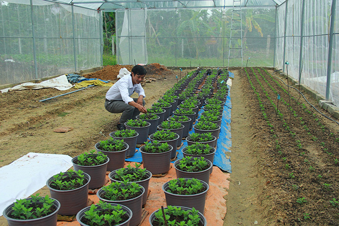 Mặt trận xã Sơn Thủy: Phát huy vai trò trong phát triển kinh tế