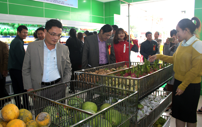 Khai trương điểm bán hàng nông sản Việt