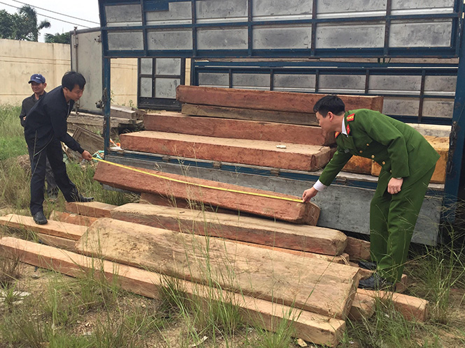 Bắt xe ô tô vận chuyển gỗ lậu