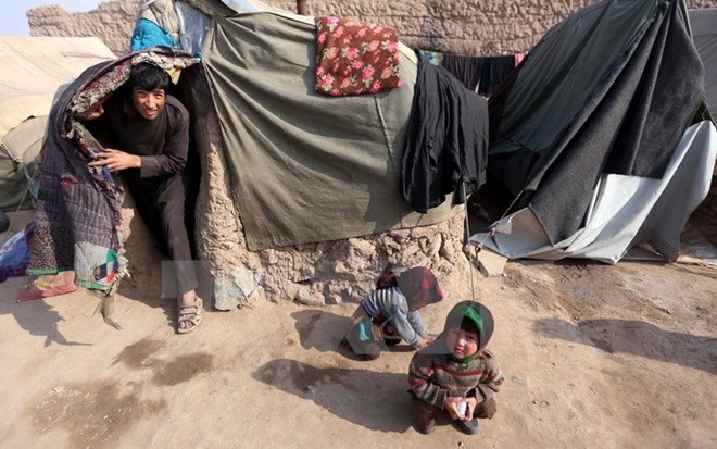 Sự thật sau ngày sinh đặc biệt của hàng nghìn người Afghanistan