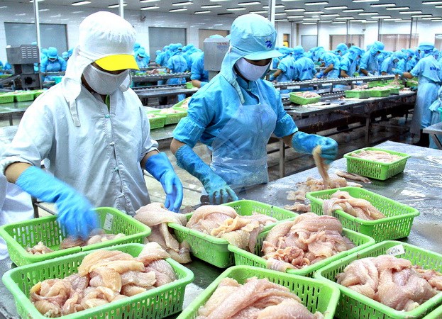VASEP công bố Sách Trắng về chống khai thác thủy sản bất hợp pháp