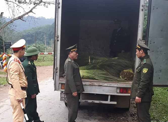 Hạt Kiểm lâm huyện Quảng Ninh: Ra quân tuần tra kiểm soát trong dịp Tết Nguyên đán 2018