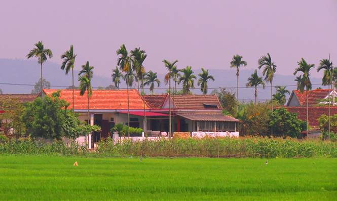 Cuối năm về với nhà