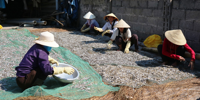 Bình minh Hải Ninh
