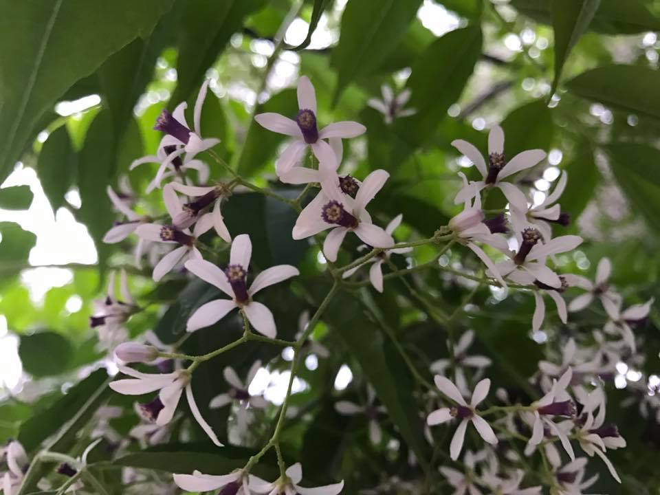 Về lại tháng ba...