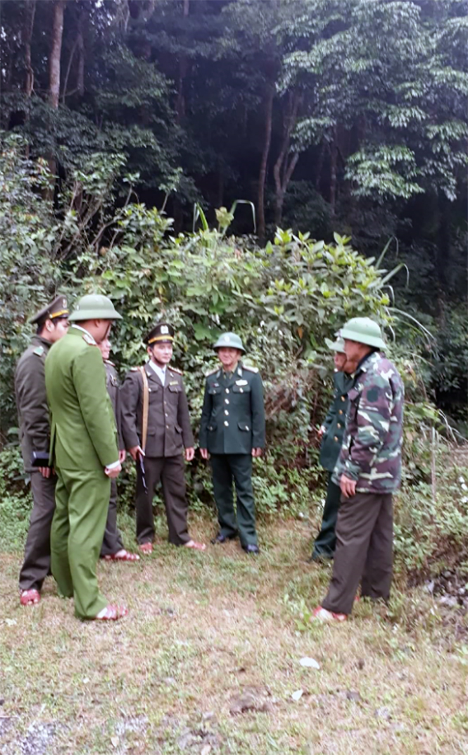 Quảng Ninh: Trồng được 75,4ha rừng tập trung và cây lâm nghiệp