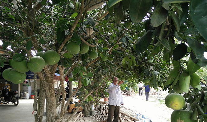 Người nghèo Quảng Tiến vươn lên từ đồng vốn chính sách ưu đãi